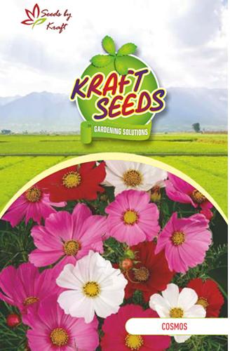 Cosmos Mix Flower Seeds