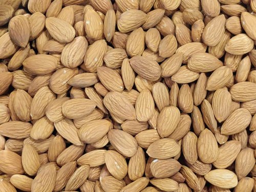 Almond Nut, Packaging Type : Plastic Bag