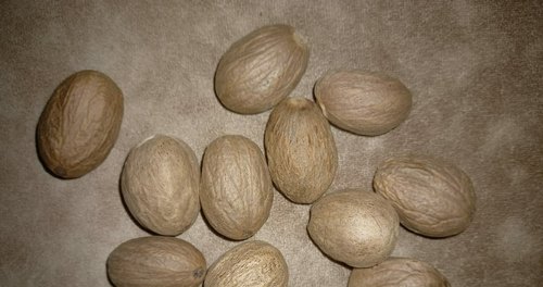 Nutmeg Jaiphal, Packaging Size : 50 kgs