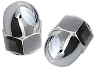 Stainless Steel SS Domed Cap Nut