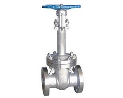 Cryogenic Gate Valves Content