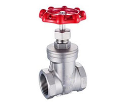 SS 316 (ASTM A351 CF8M) Threaded Gate Valves Content