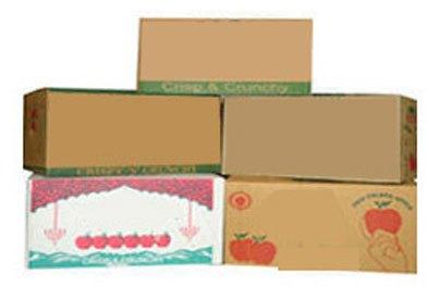 Cardboard Corrugated Fruit Packaging Box, Feature : Quality Assured, Recycled