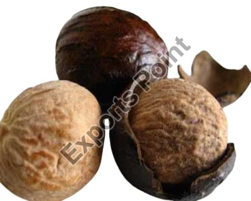 Premium Nutmeg, Color : Brown