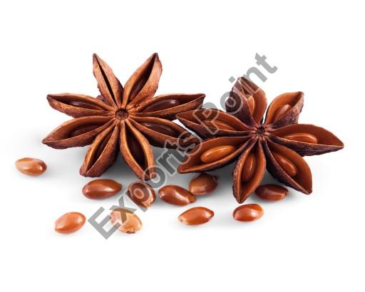 Star anise seeds, Style : Dried