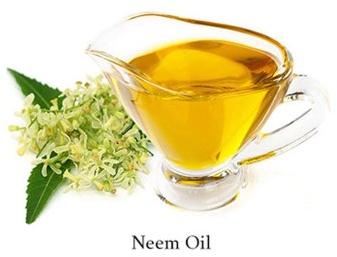 Cold Pressed Neem Oil