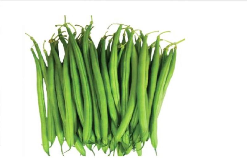 Organic Fresh French Beans, for Cooking, Style : Natural