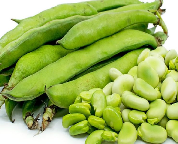 Organic Fresh Guar Beans, for Cooking, Style : Natural