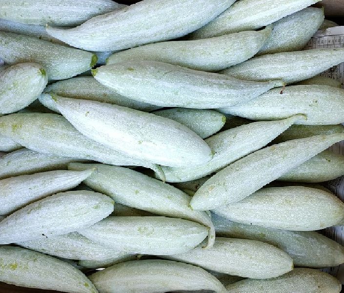 Organic Fresh Snake Gourd, for Cooking, Color : Green