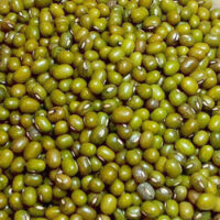 Indicana Biotic Organic Whole Green Moong Dal, Packaging Type : Plastic Packet