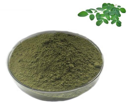 Freeze Dried Moringa Leaf Powder, for Cosmetics, Medicines Products, Packaging Size : 1kg, 5kg