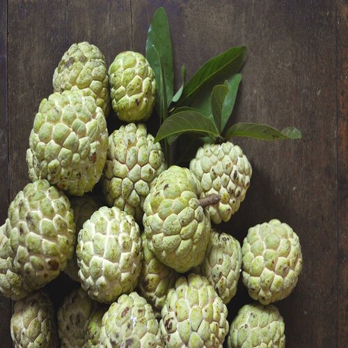 Golden Custard apple