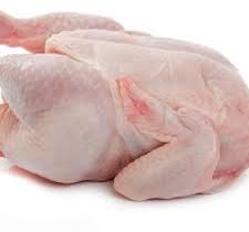 GRADE A HALAL FROZEN WHOLE CHICKEN AND FROZEN CHICKEN FEET FOR SALE FROM TURKEY