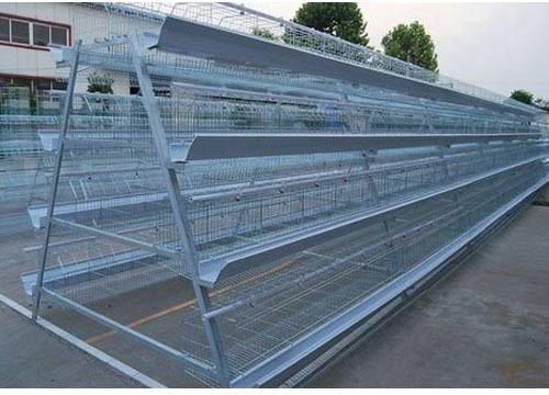 Poultry Layer Cage