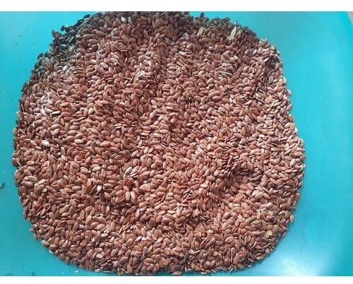 Shree Dhanuka Organic Flax Seed, Shelf Life : 2yrs