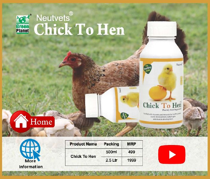 Neutvets Chick to Hen Liquid