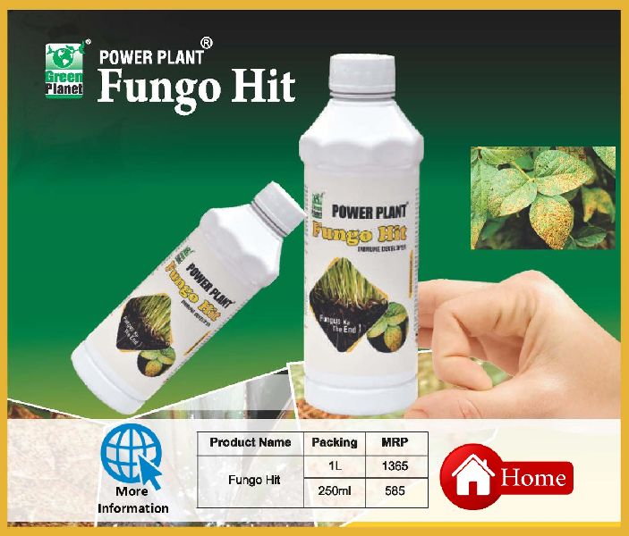 Fungo Hit Plant Growth Promoter, for Agriculture, Purity : 100%