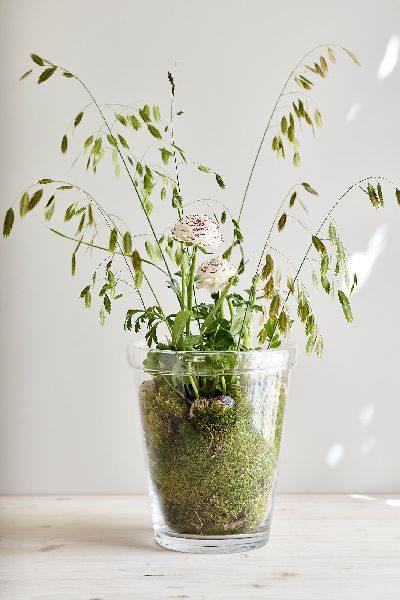 Polished Plain Glass Flower Pot, Style : Modern