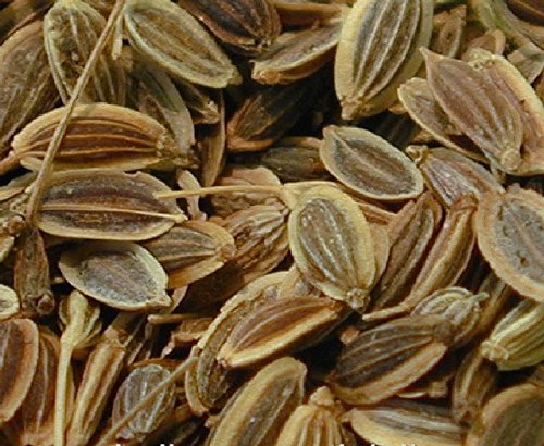 Dill Seeds