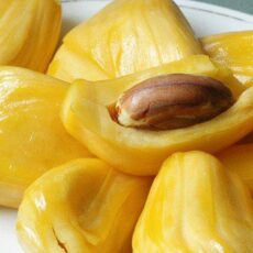 Fresh Jackfruit, Packaging Size : 50Kg