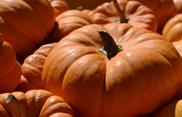 Fresh Pumpkin, for Pesticide Free ( Raw Products)