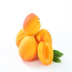 Hard Organic Dried Apricots, Certification : FSSAI