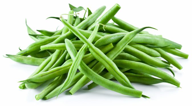 Organic fresh beans, for Cooking, Color : Green