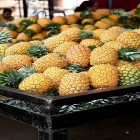 Fresh Pineapple, Style : Natural