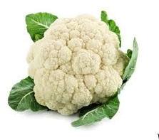 fresh cauliflower