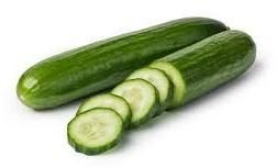 fresh cucumber