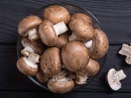 fresh mushroom