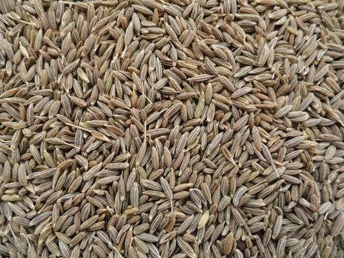 Cumin seeds, Feature : Healthy, Improves Acidity Problem, Improves Digestion, Non Harmful, Premium Quality