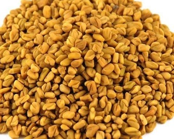 Organic fenugreek seeds, Packaging Type : PP Bags