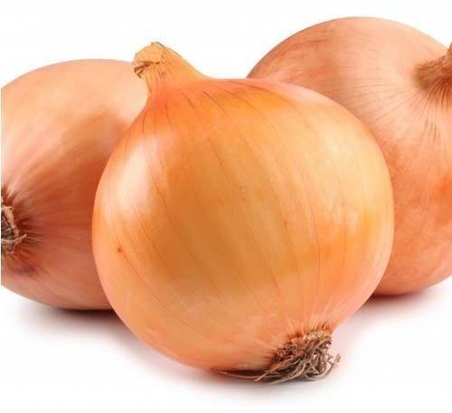 Sweet Onion, for Human Consumption, Salad, Feature : Freshness, High Quality