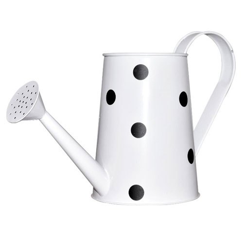Square Coated SH-21008 Metal Watering Can, for Gardening Use, Pattern : Plain