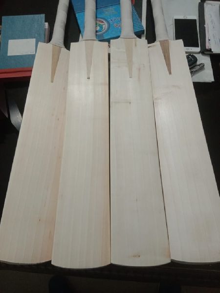 Plain 1kg Wood english willow cricket bats, Size : Professional