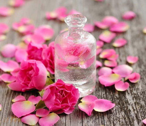 Rose Geranium Oil