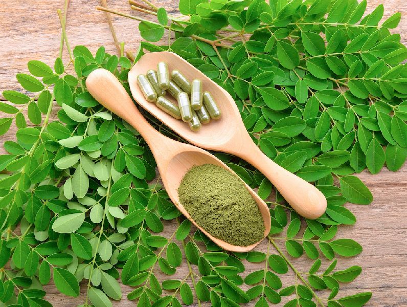 Common Moringa Products, for Cosmetic, Medicine, Style : Extract