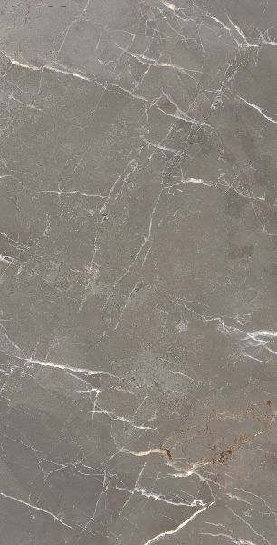 600x1200 Mm Grey Panther Glossy Tiles