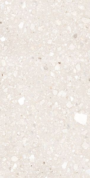 600x1200 Mm Oyster Crema Glossy Tiles