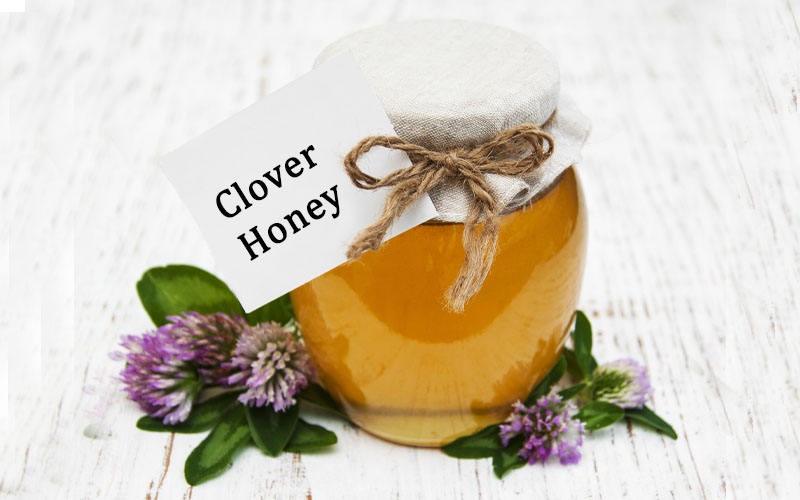 Clover Honey, Packaging Size : 250-500gm