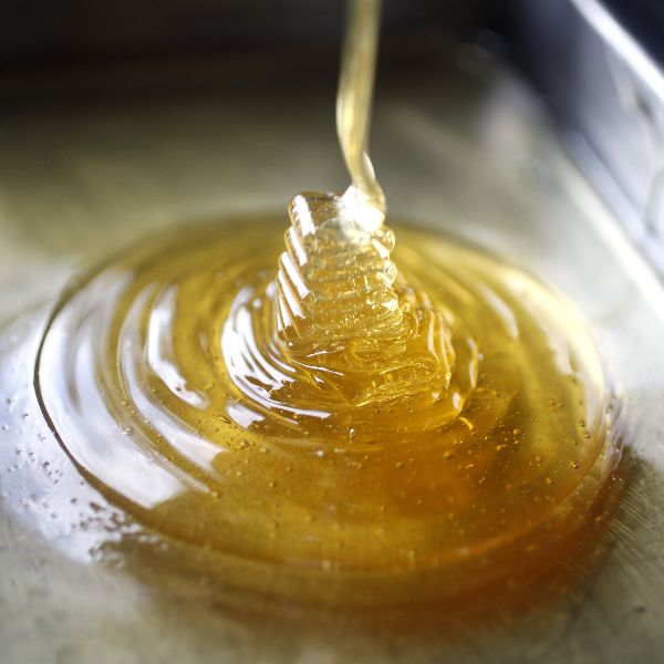 Wild Forest Honey, Grade : Food Grade