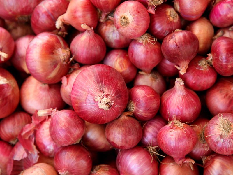 Organic Fresh Pink Onion, for Cooking, Packaging Type : Jute Bags