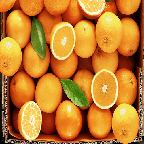 Round Organic Orange, for Juice, Jam, Color : Yellow, Light Yellow, Light Green