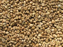 Roasted Organic Coffee Beans, for Beverage, Purity : 100%