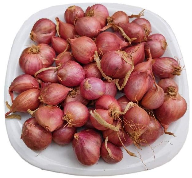 Natural Sambar Onion