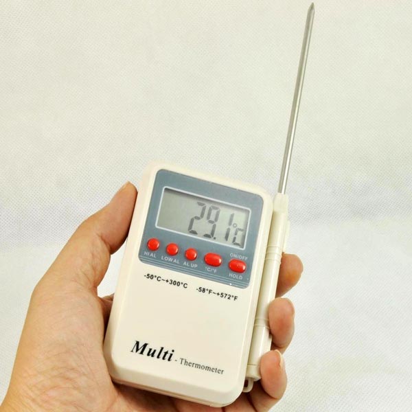 Multi Stem Thermometer