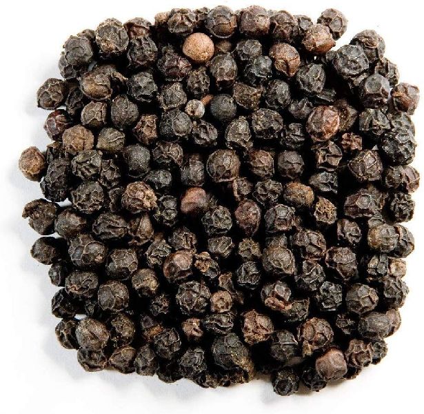 Raw Organic Black Pepper Seeds, Feature : Free From Contamination, Fresh, Good Quality