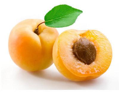 Fresh Apricot