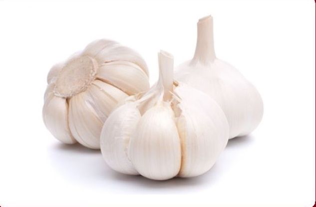 Fresh garlic, Packaging Size : 20 kg